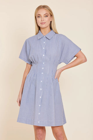 Stripe Dart Waist Dress