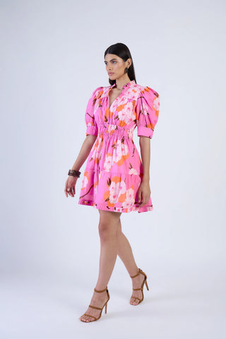 Alice Dress